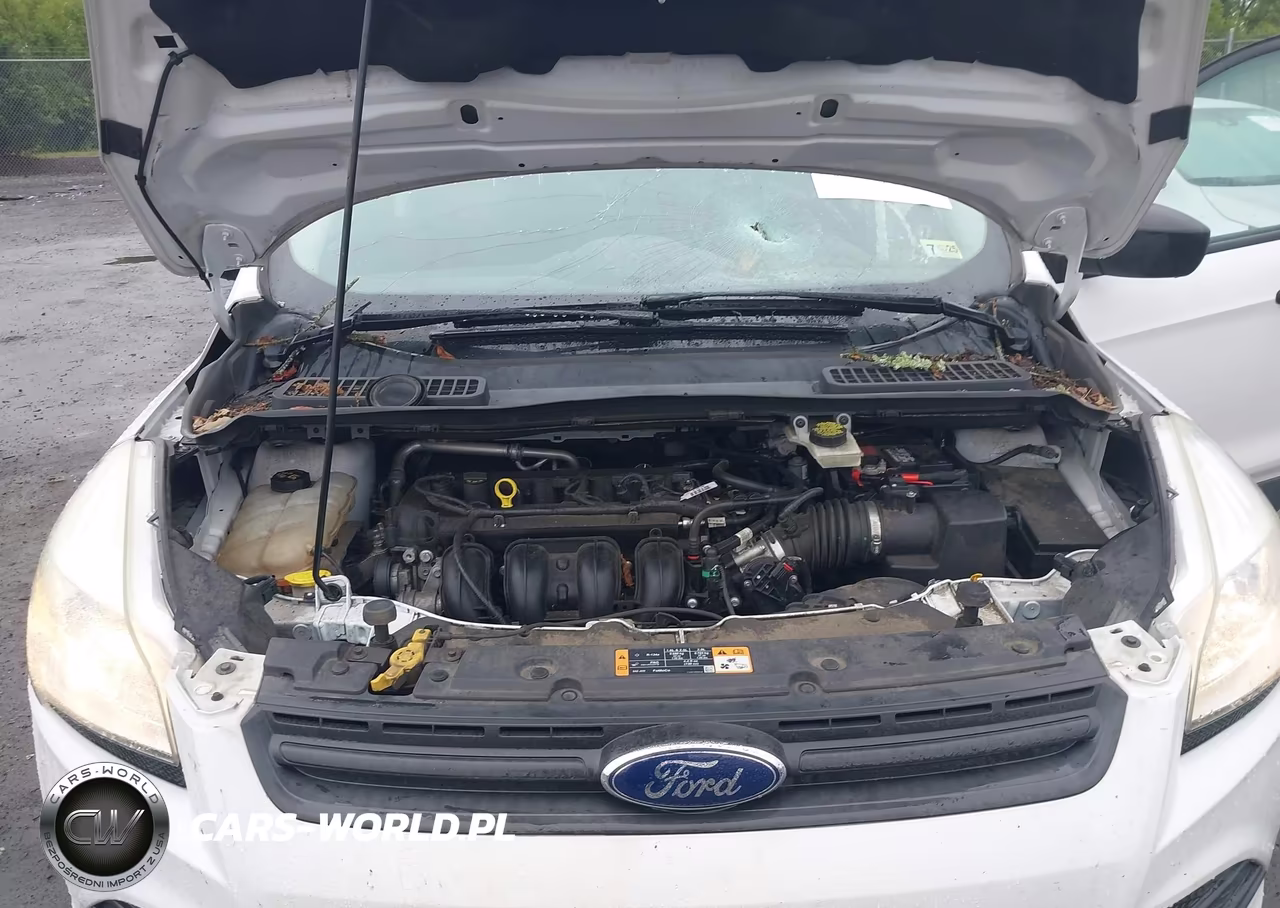 2016 Ford Escape S VIN:1FMCU0F70GUB62084 - 10