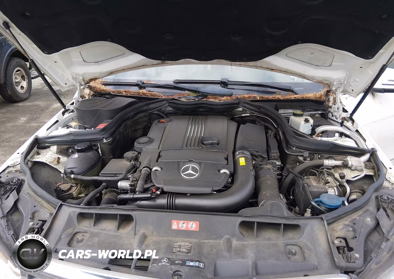2013 Mercedes-Benz C 250 Luxury VIN:WDDGF4HB3DA775070 - 10