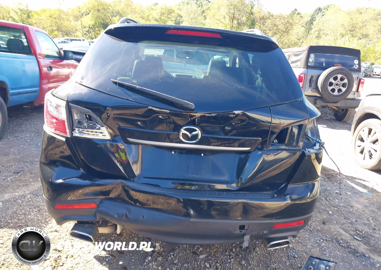 2010 Mazda Cx-9 Grand Touring VIN:JM3TB3MV4A0231345 - 16