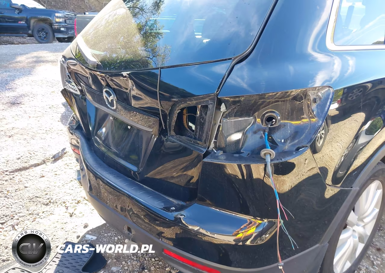 2010 Mazda Cx-9 Grand Touring VIN:JM3TB3MV4A0231345 - 6
