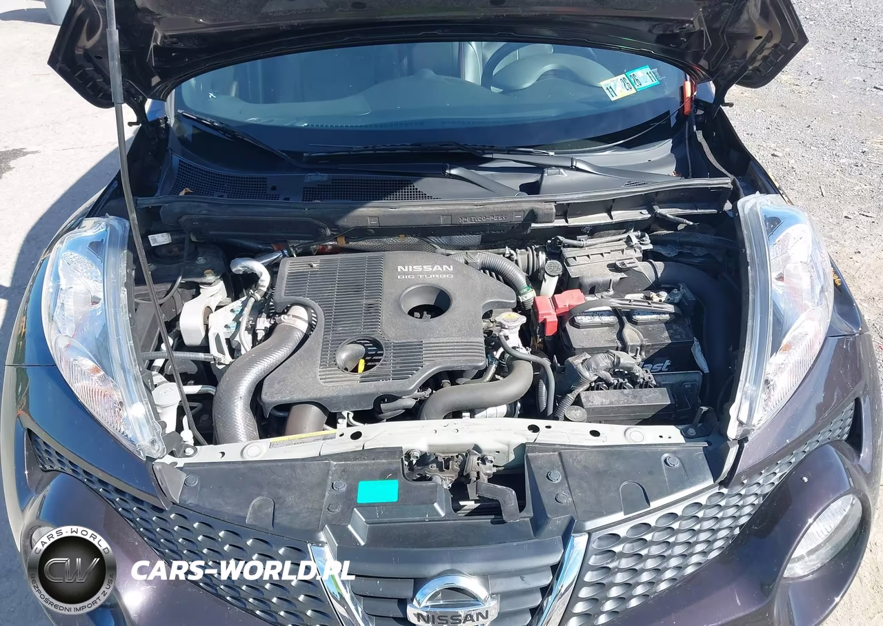 2014 Nissan Juke Sl VIN:JN8AF5MV8ET364683 - 10