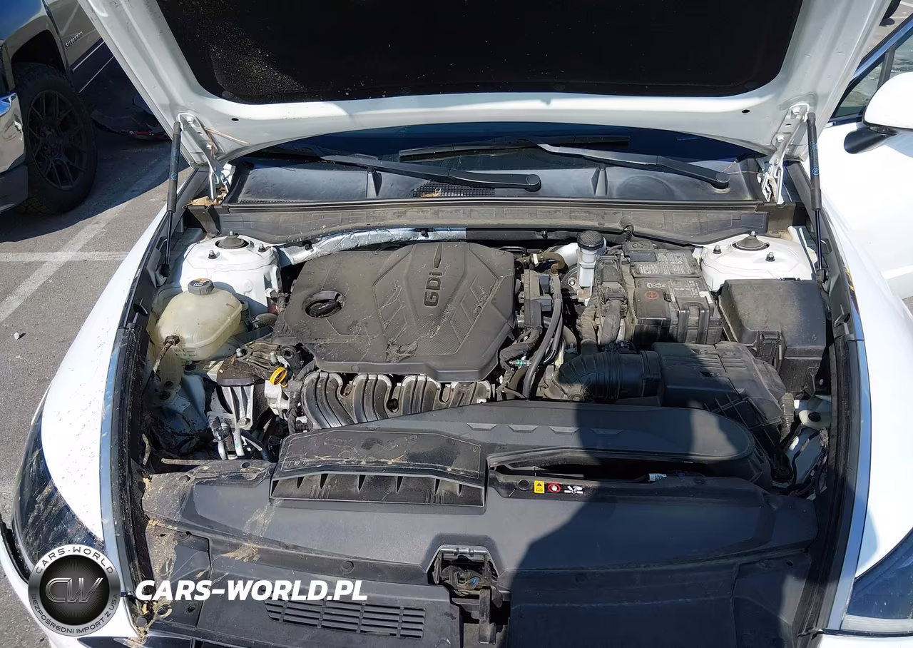 2020 Hyundai Sonata Se VIN:5NPEG4JA9LH014907 - 10