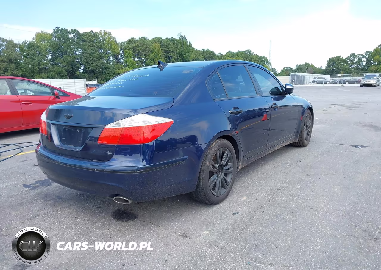 2010 Hyundai Genesis 4.6 VIN:KMHGC4DF7AU100663 - 4