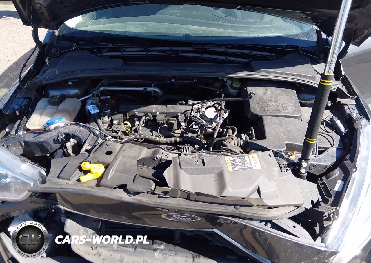 2016 Ford Focus S VIN:1FADP3E2XGL336908 - 10
