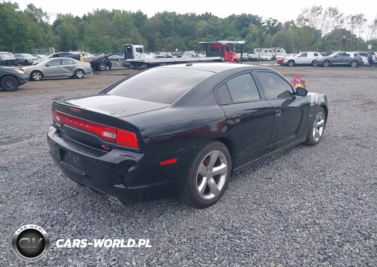 2014 Dodge Charger Road-Track VIN:2C3CDXCT8EH359801 - 12