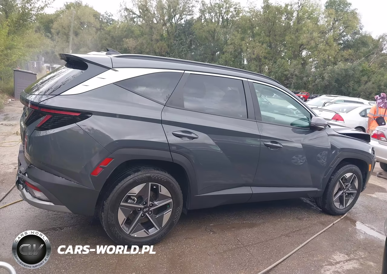 2025 Hyundai Tucson Sel Convenience VIN:5NMJCCDE1SH466820 - 13