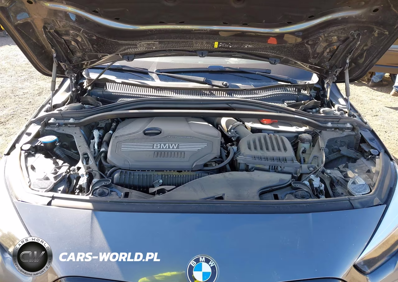 2021 BMW 2 Series 228I xDrive VIN:WBA73AK04M7J14151 - 10