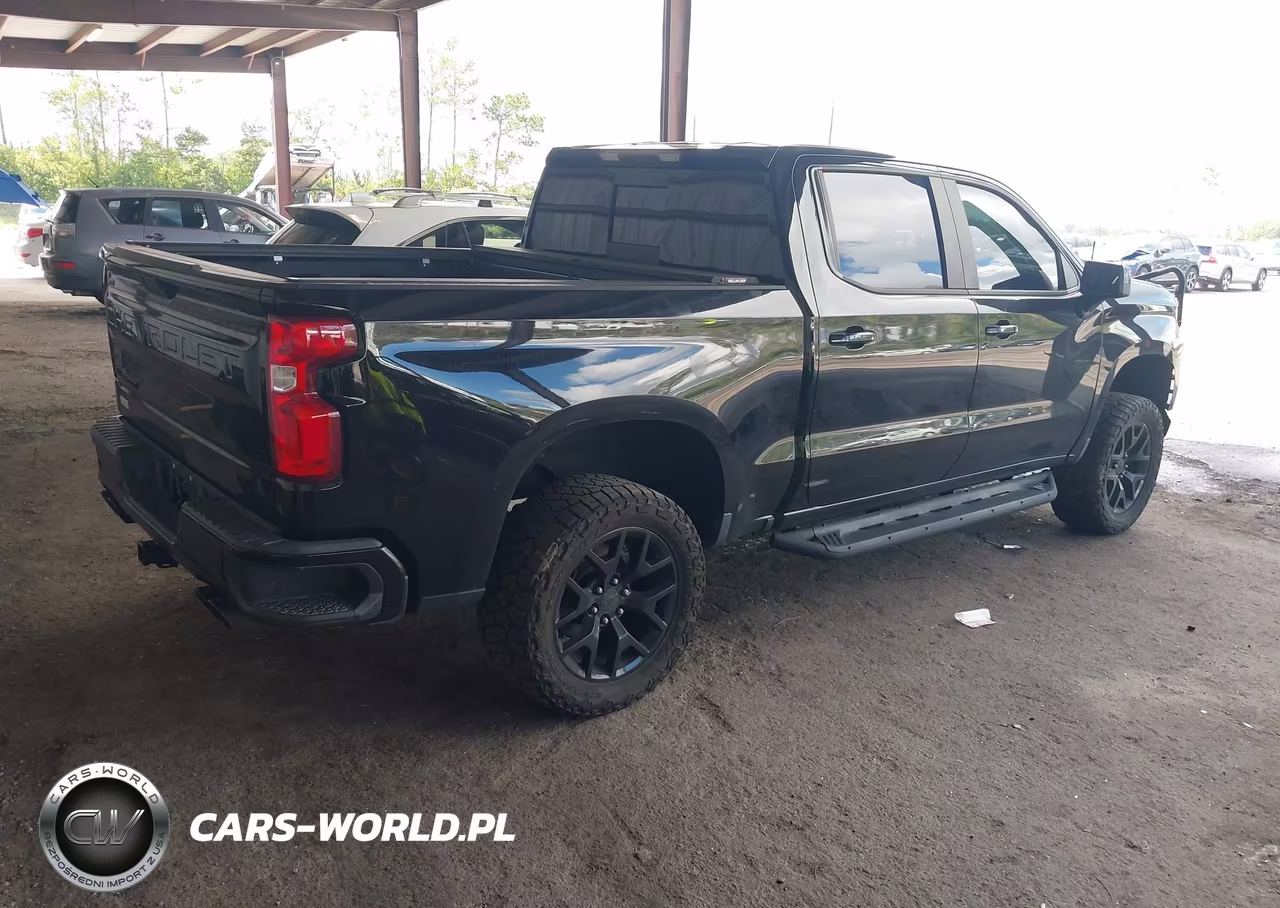 2020 Chevrolet Silverado 1500 4Wd Short Bed Lt Trail Boss VIN:3GCPYFEL6LG359866 - 4