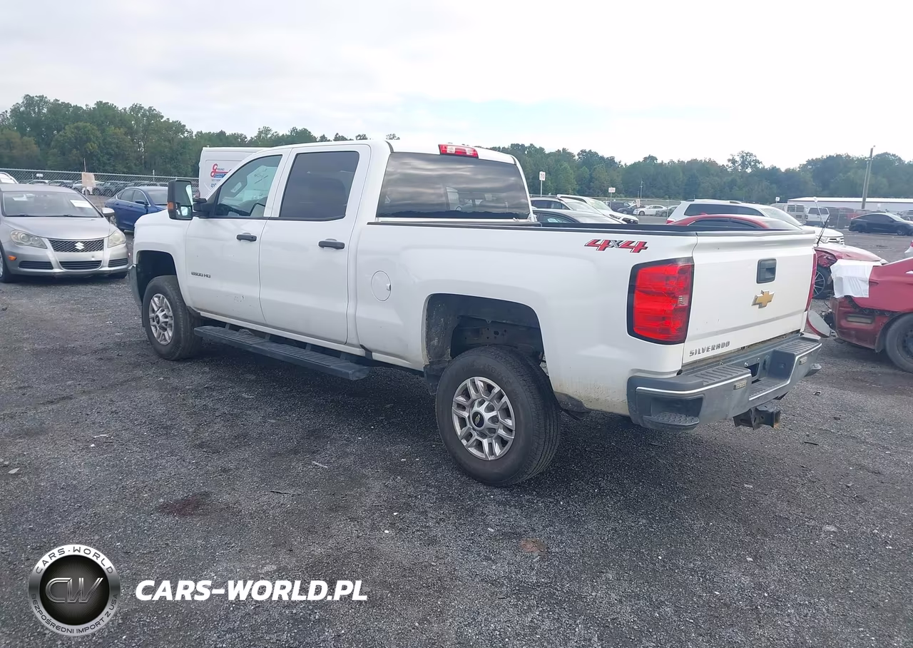 2019 Chevrolet Silverado 2500Hd Wt VIN:1GC1KREG4KF105682 - 3