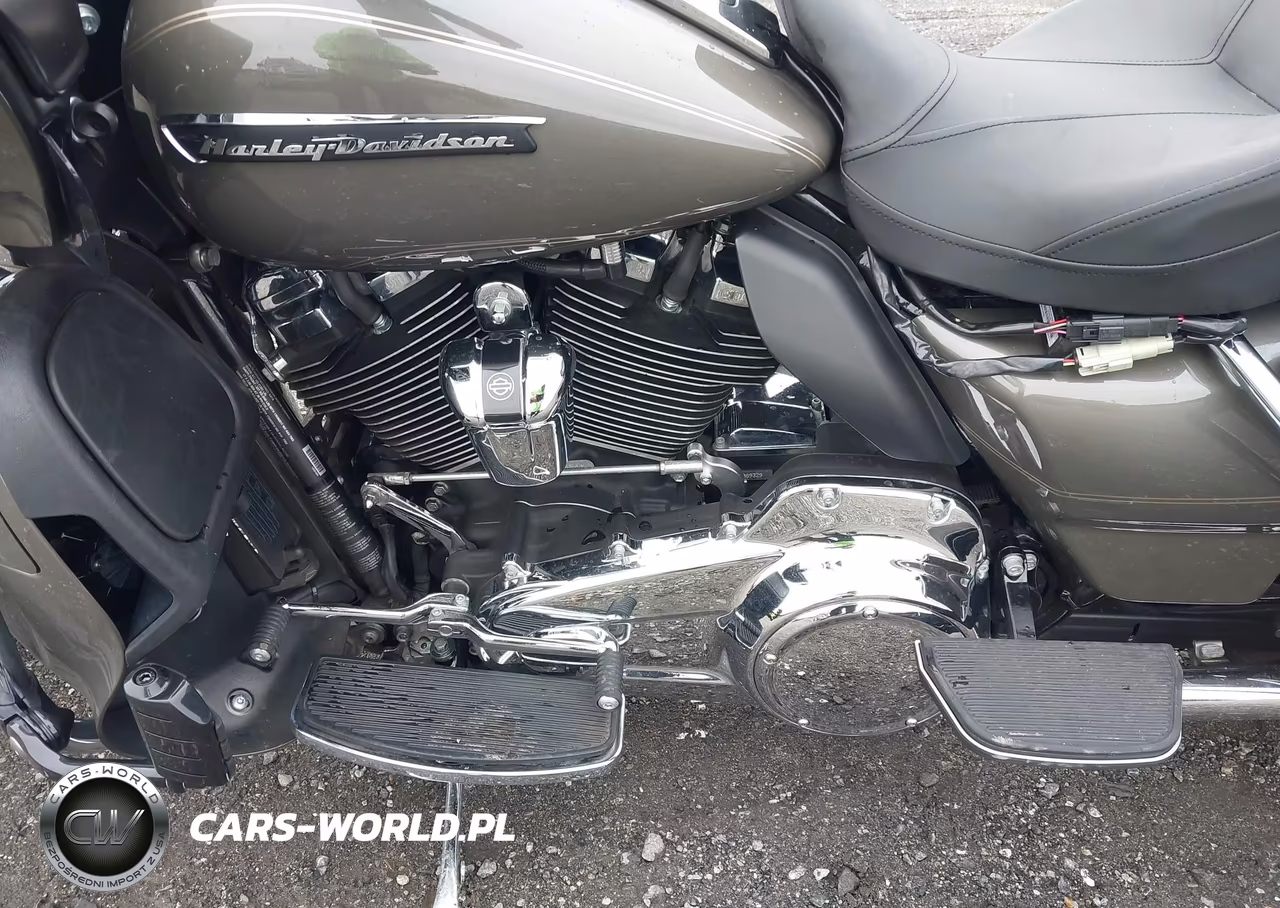 2018 Harley-Davidson Fltru VIN:1HD1KGD15JB650554 - 9
