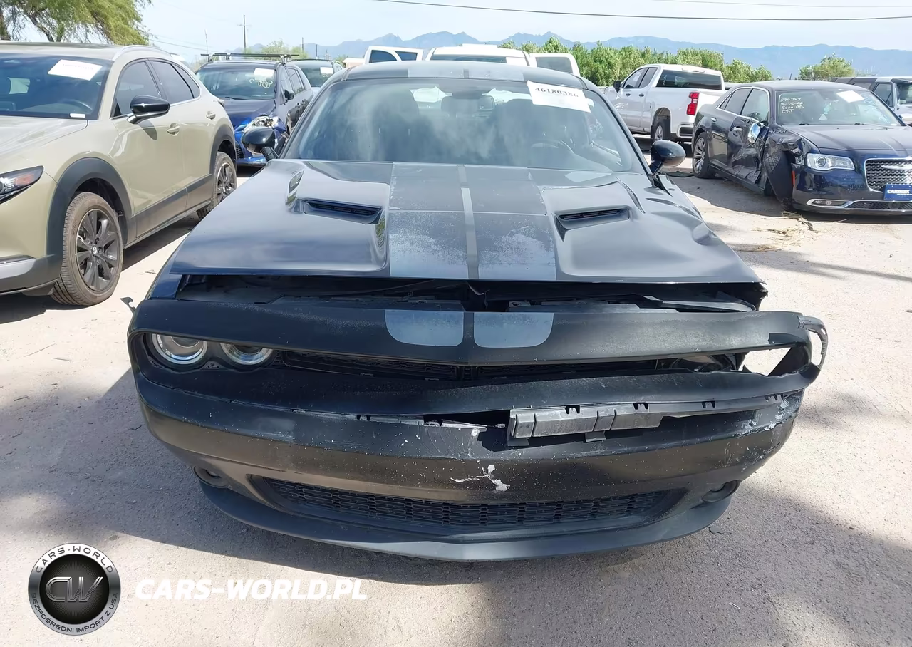 2017 Dodge Challenger Sxt VIN:2C3CDZAG8HH604246 - 12