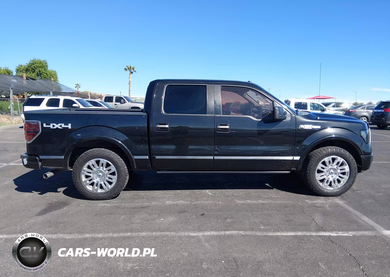 2011 Ford F-150 Platinum VIN:1FTFW1EF6BFA44449 - 13