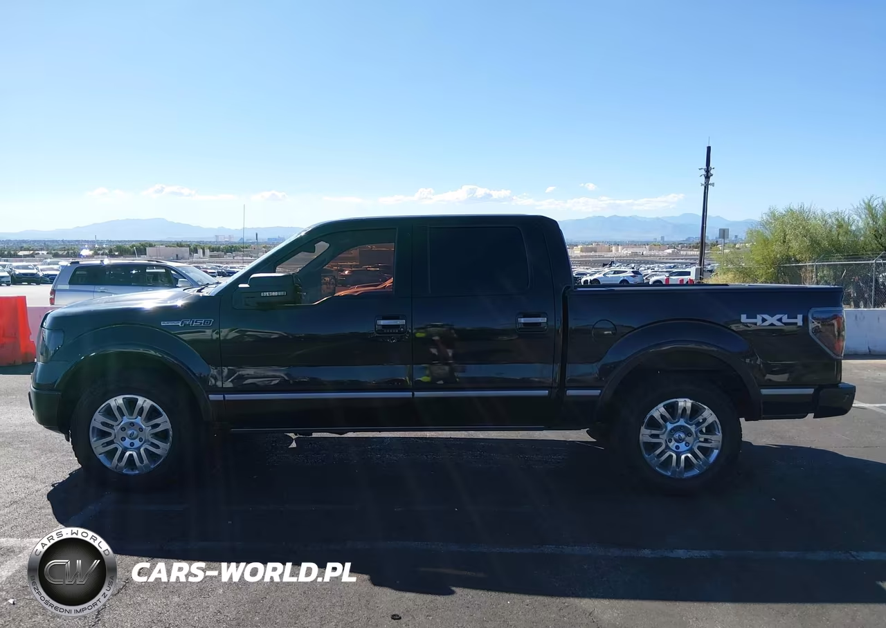2011 Ford F-150 Platinum VIN:1FTFW1EF6BFA44449 - 14