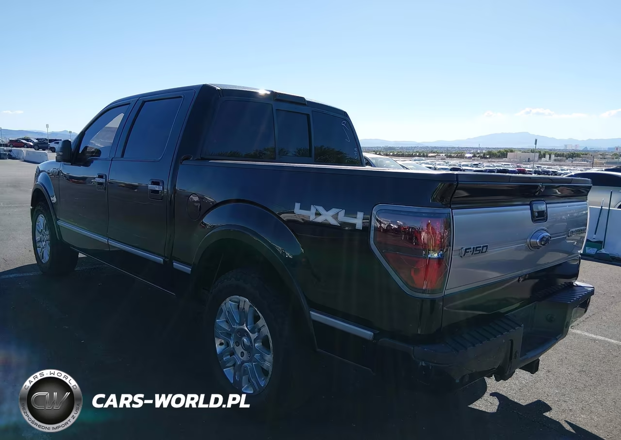 2011 Ford F-150 Platinum VIN:1FTFW1EF6BFA44449 - 3