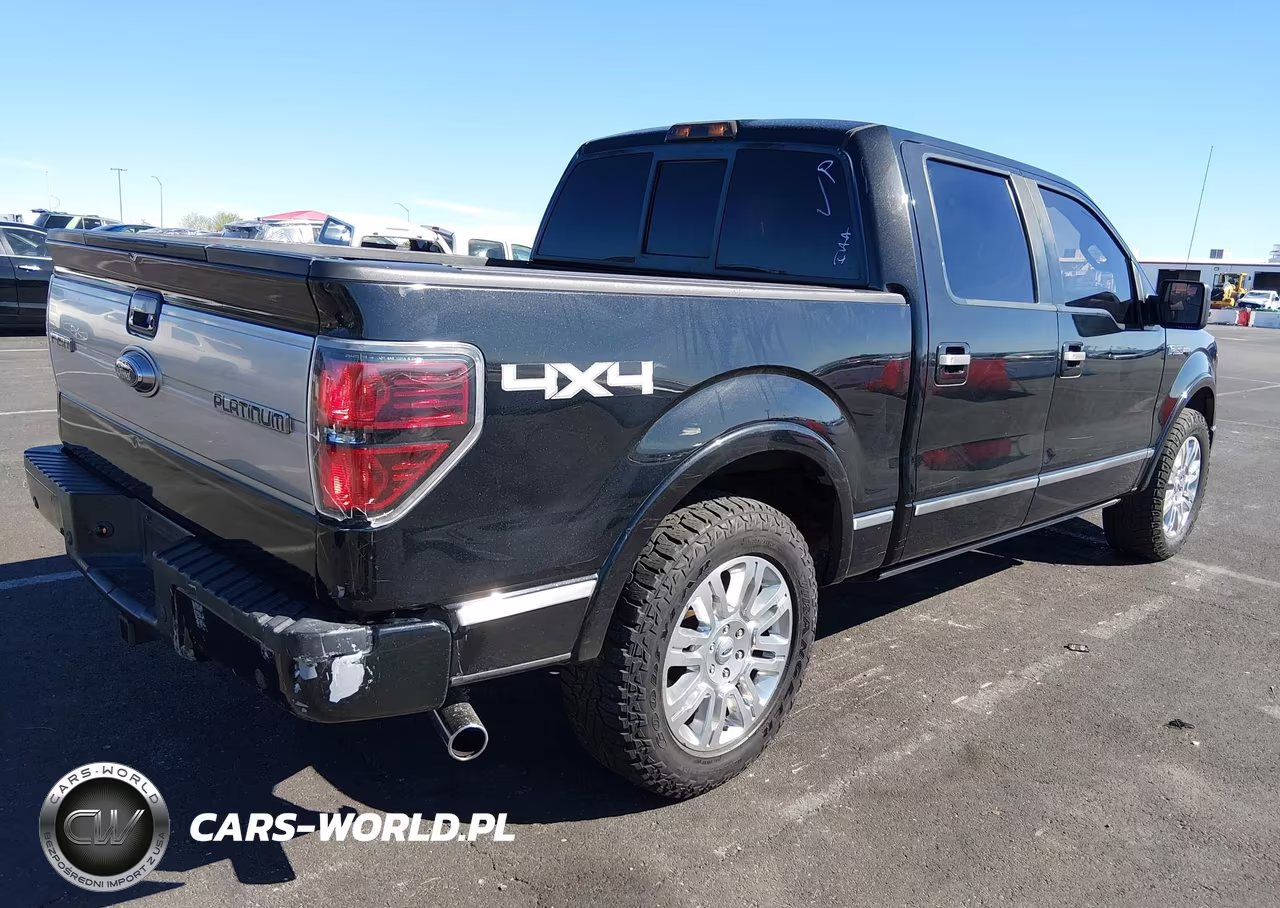2011 Ford F-150 Platinum VIN:1FTFW1EF6BFA44449 - 4