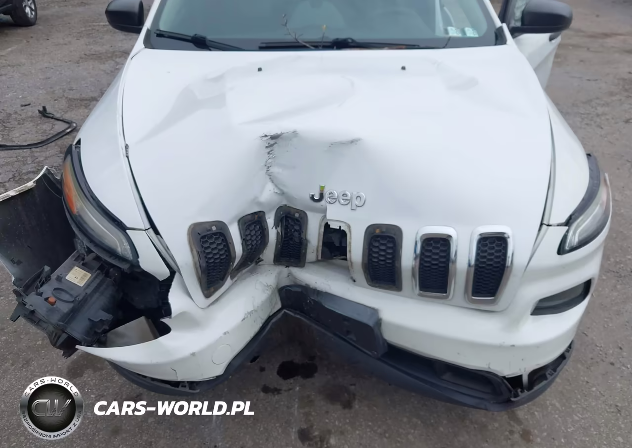 2014 Jeep Cherokee Sport VIN:1C4PJMAB4EW272896 - 10