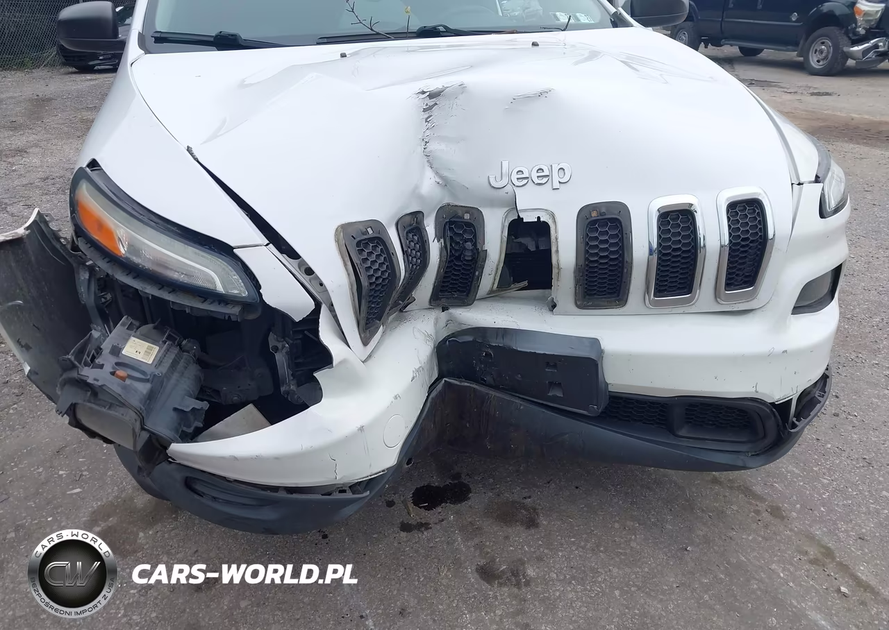 2014 Jeep Cherokee Sport VIN:1C4PJMAB4EW272896 - 6