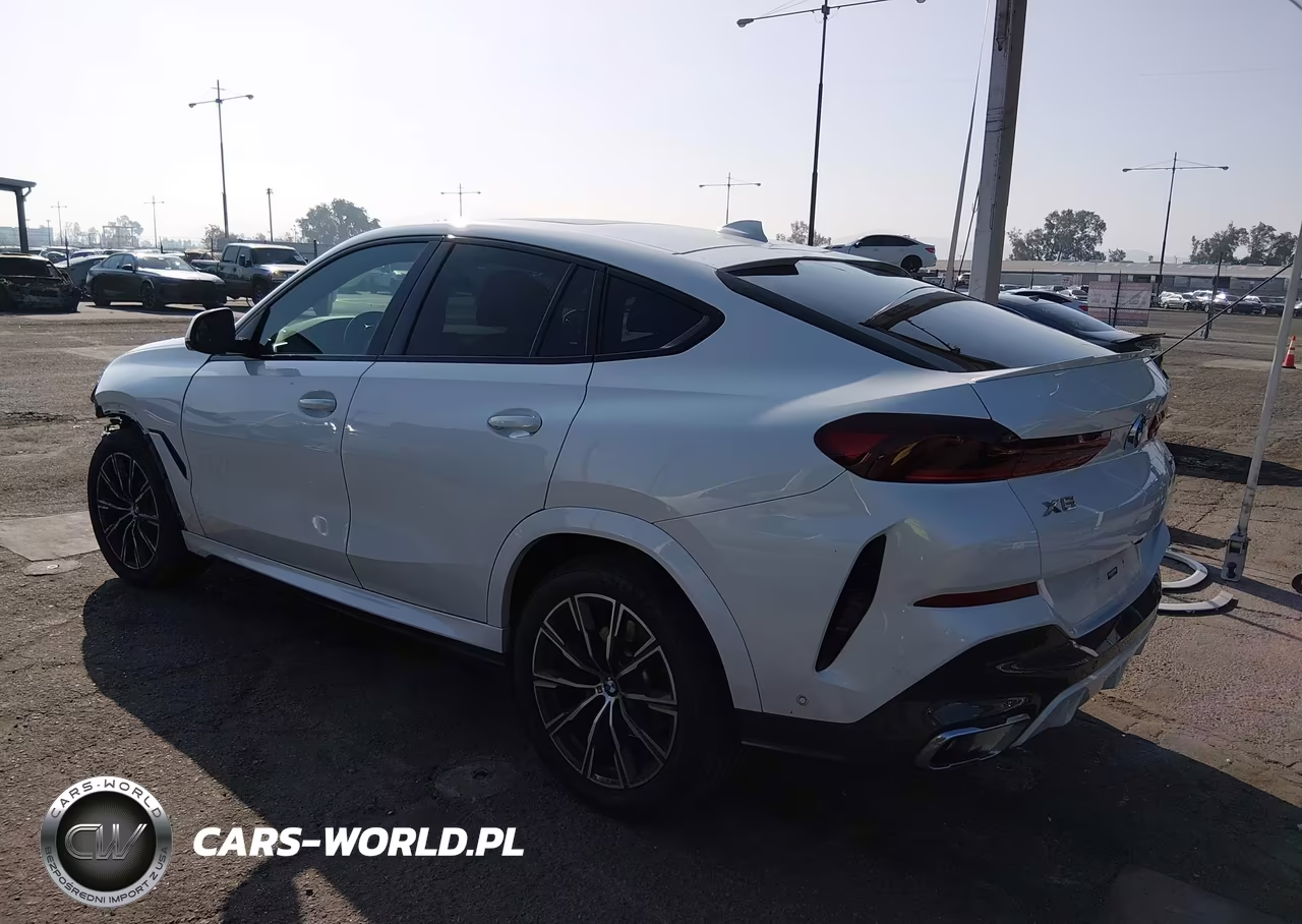 2023 BMW X6 xDrive40I VIN:5UXCY6C08P9P61190 - 3