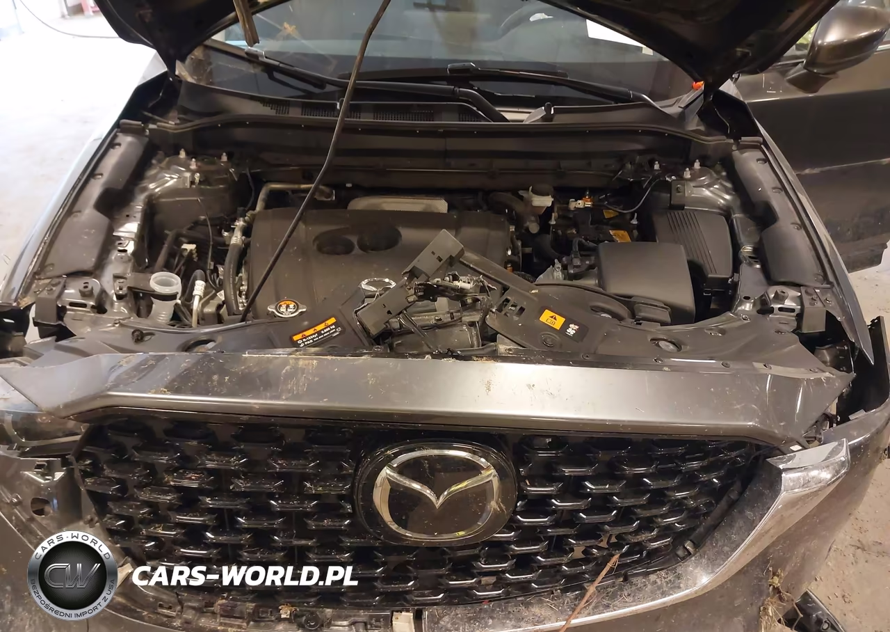 2025 Mazda Cx-5 2.5 S Preferred VIN:JM3KFBCL2S0657935 - 10