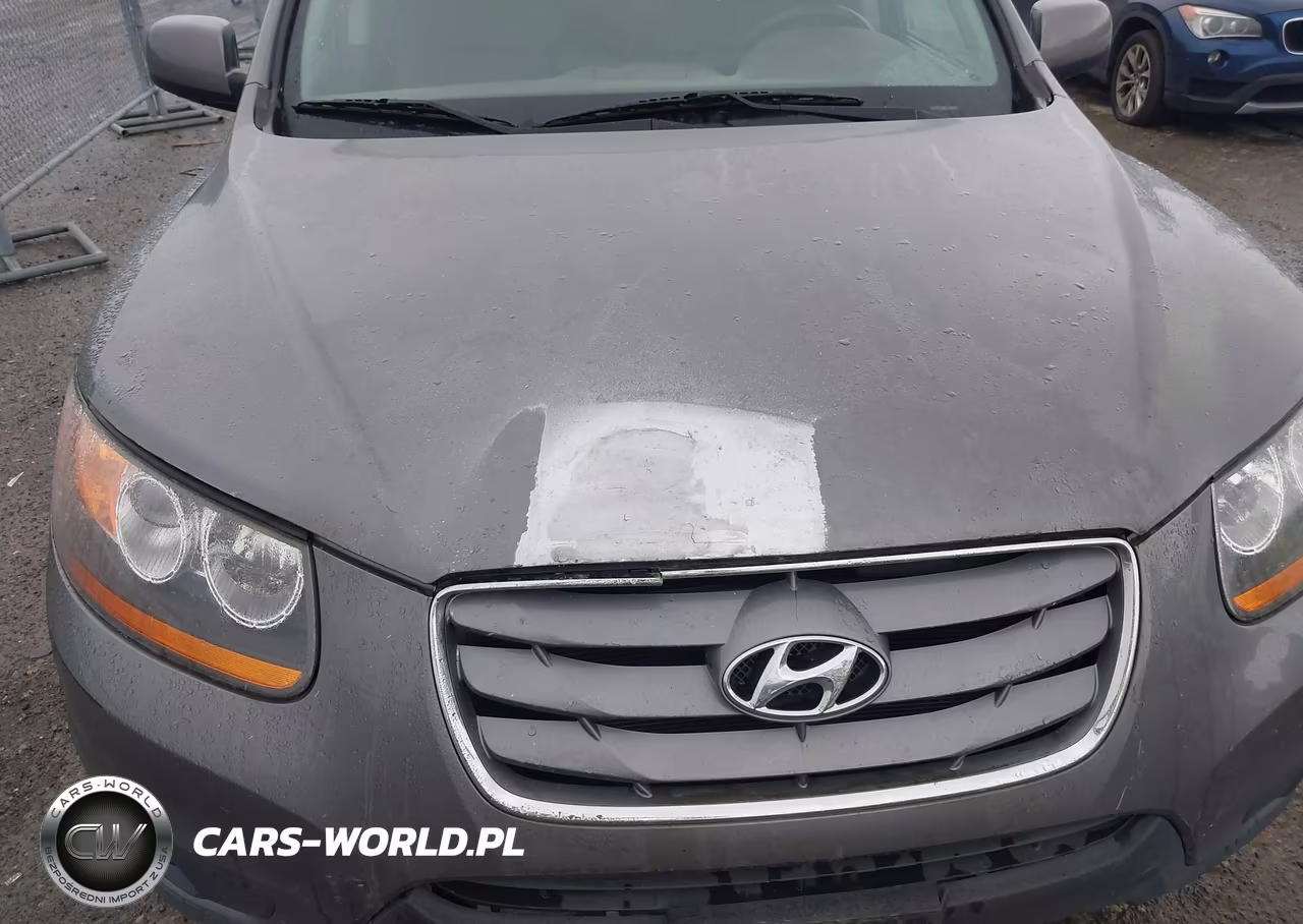 2010 Hyundai Santa Fe Limited VIN:5NMSK3AB2AH393795 - 12