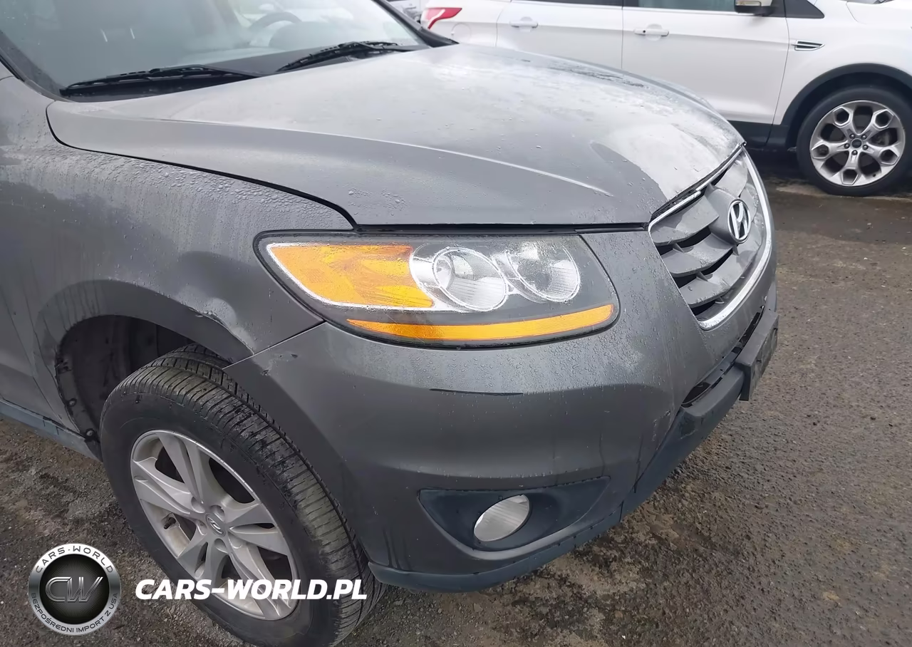 2010 Hyundai Santa Fe Limited VIN:5NMSK3AB2AH393795 - 13