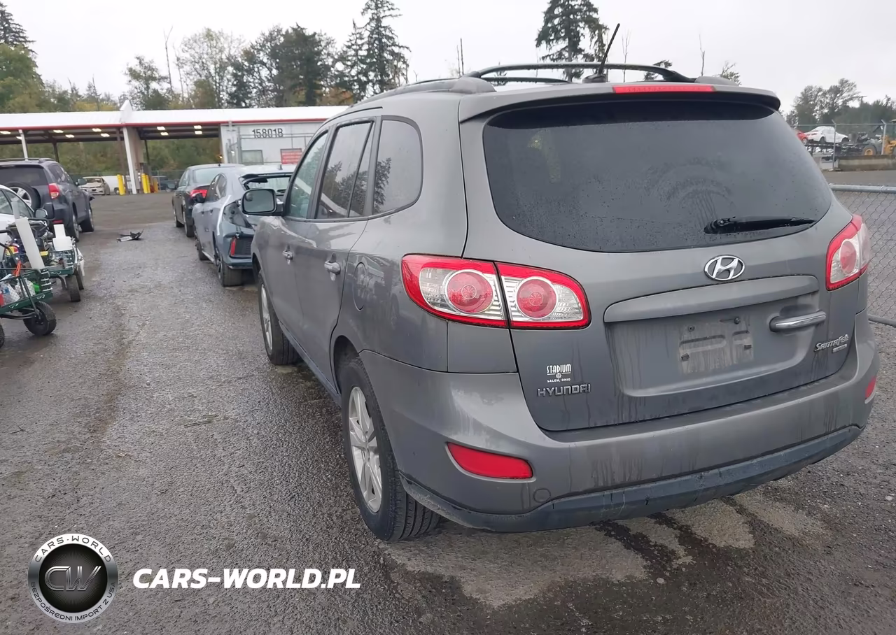 2010 Hyundai Santa Fe Limited VIN:5NMSK3AB2AH393795 - 3