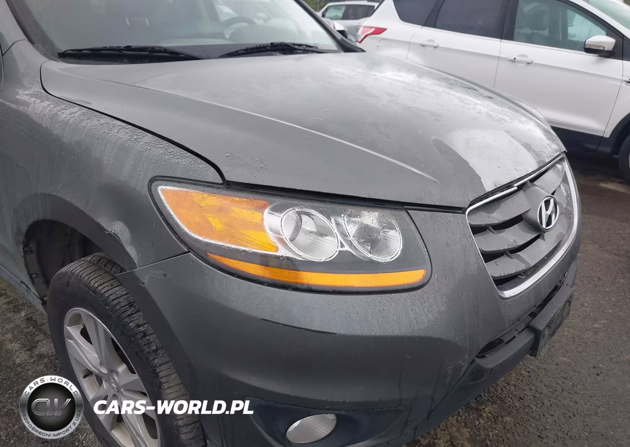 2010 Hyundai Santa Fe Limited VIN:5NMSK3AB2AH393795 - 6