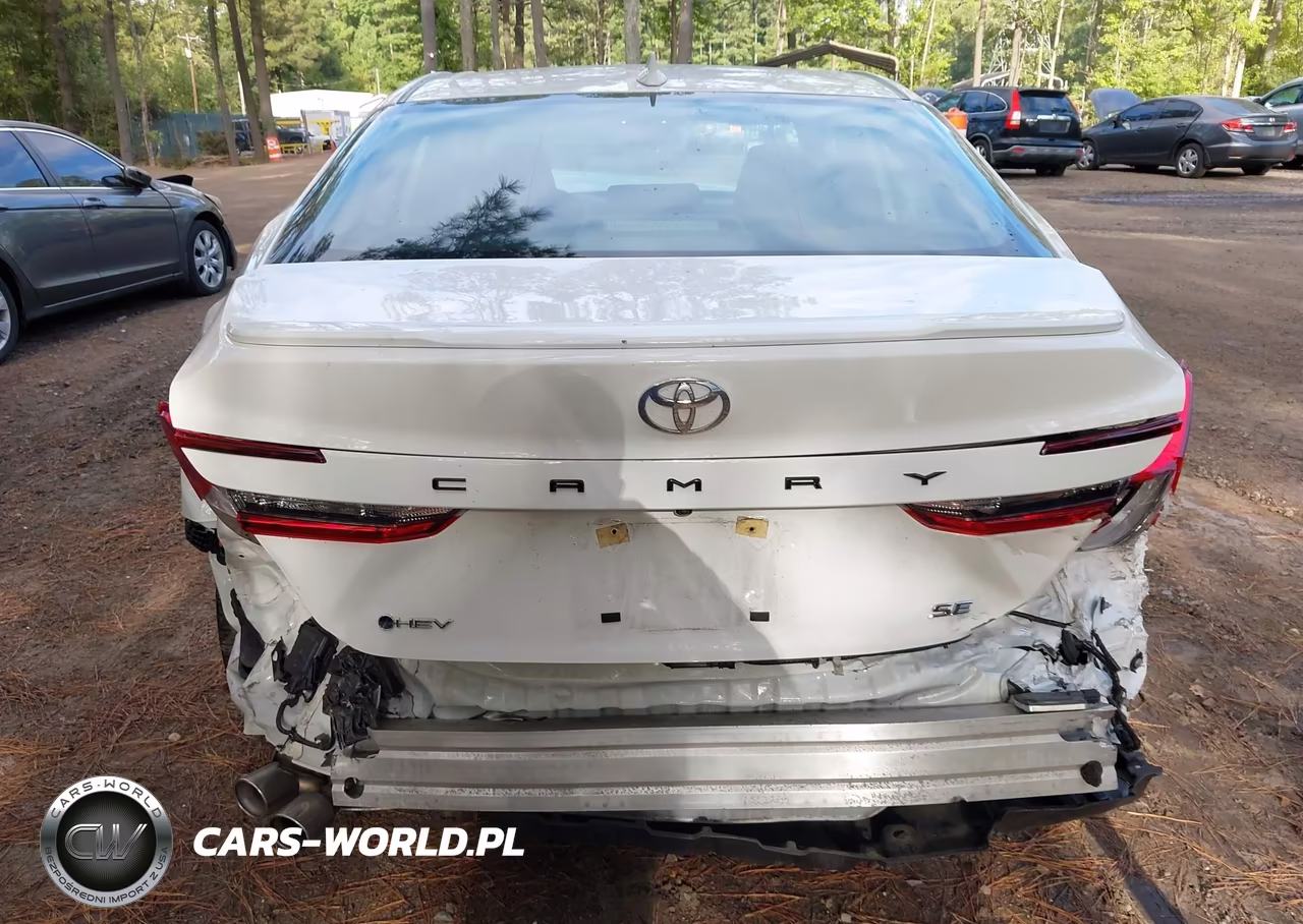 2025 Toyota Camry Se VIN:4T1DAACK1SU500242 - 17