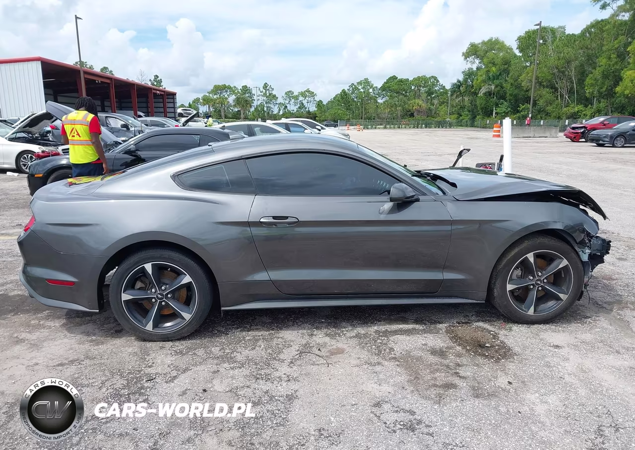 2020 Ford Mustang Ecoboost Fastback VIN:1FA6P8TH1L5168930 - 13
