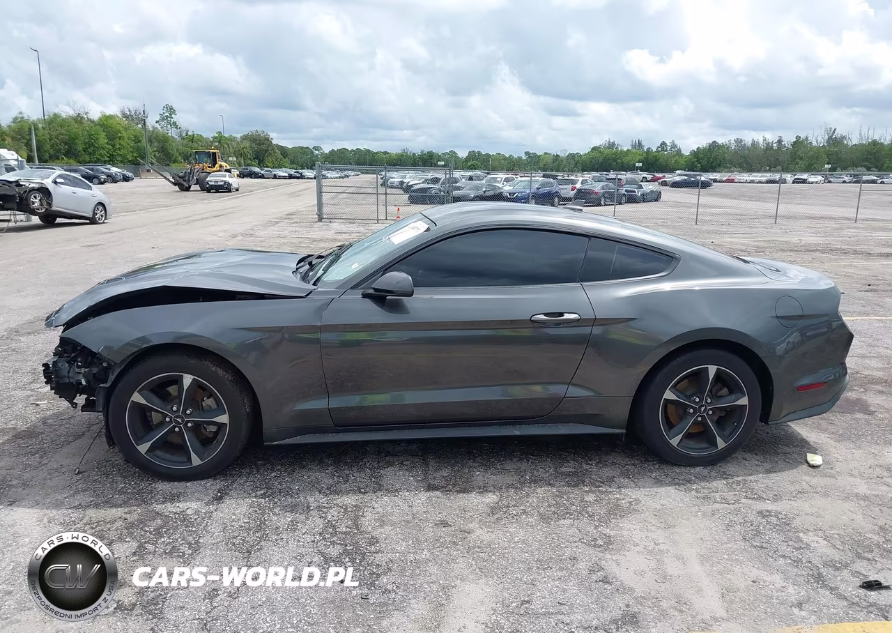 2020 Ford Mustang Ecoboost Fastback VIN:1FA6P8TH1L5168930 - 14