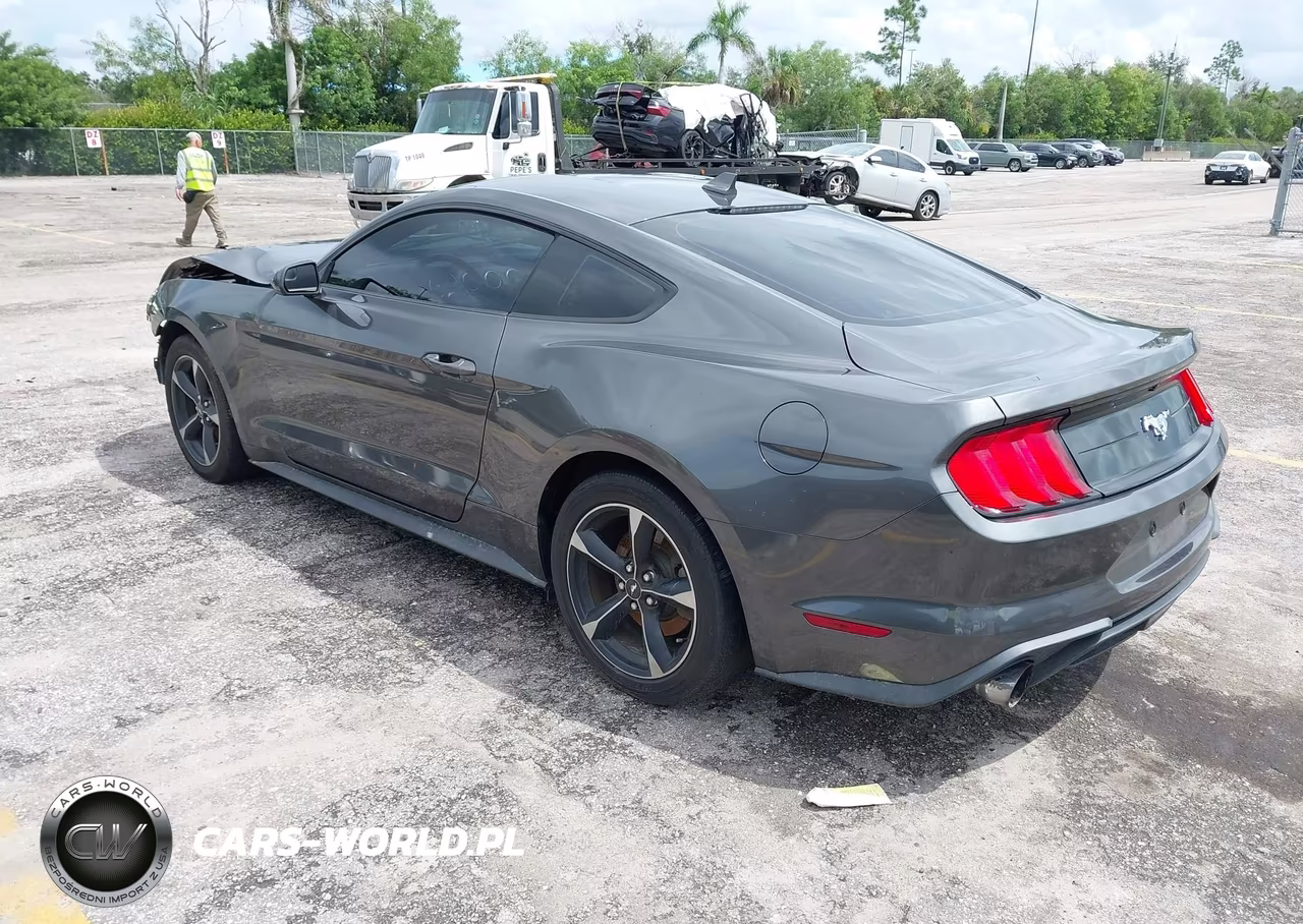 2020 Ford Mustang Ecoboost Fastback VIN:1FA6P8TH1L5168930 - 3