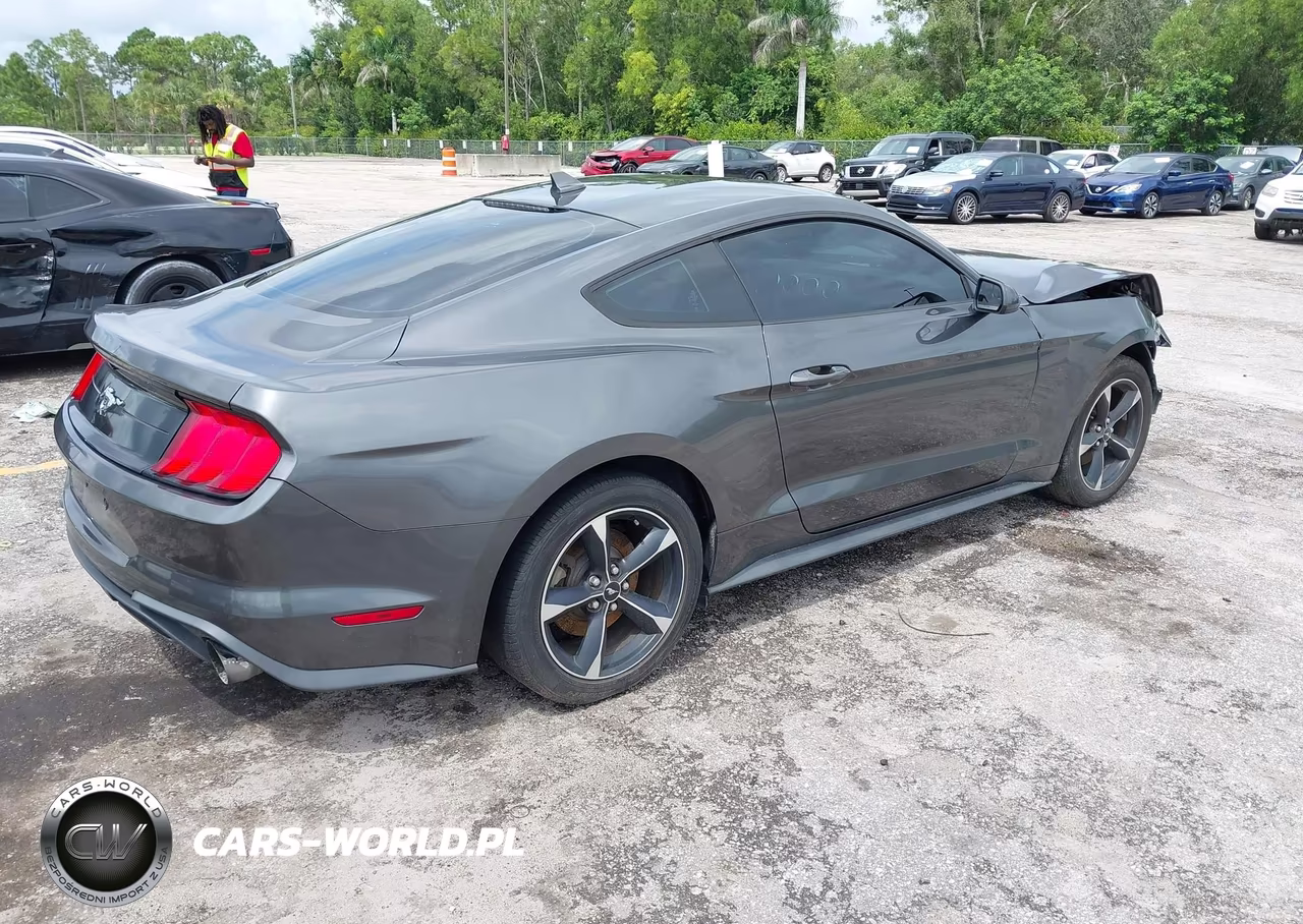2020 Ford Mustang Ecoboost Fastback VIN:1FA6P8TH1L5168930 - 4