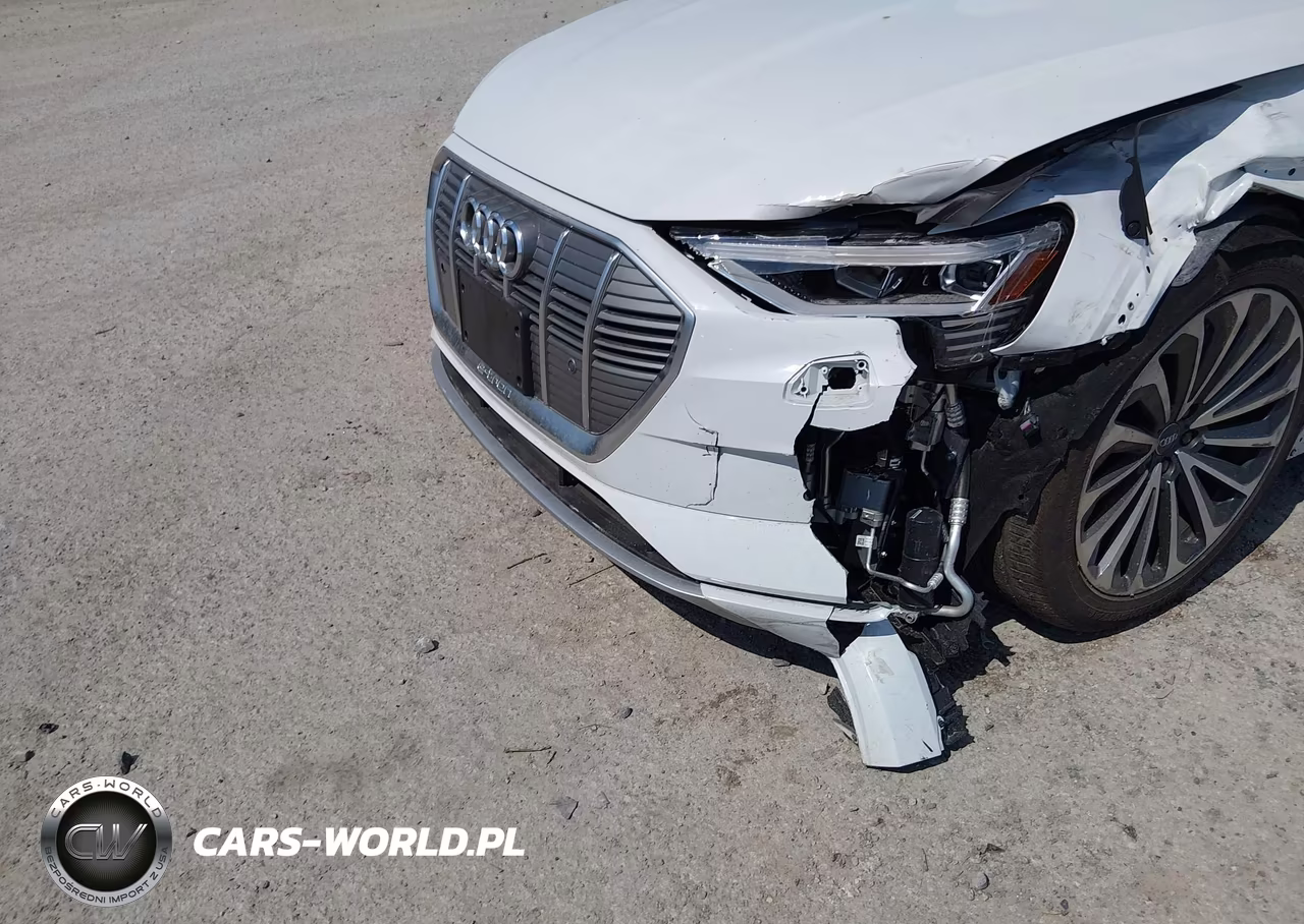 2019 Audi E-Tron Premium Plus VIN:WA1VABGE3KB021409 - 12