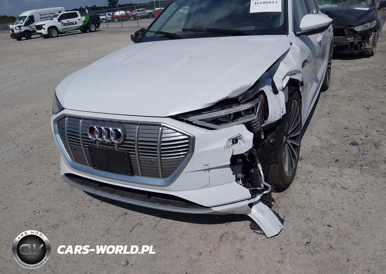 2019 Audi E-Tron Premium Plus VIN:WA1VABGE3KB021409 - 13