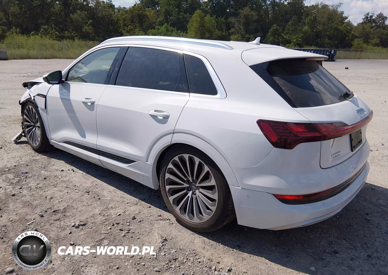 2019 Audi E-Tron Premium Plus VIN:WA1VABGE3KB021409 - 3