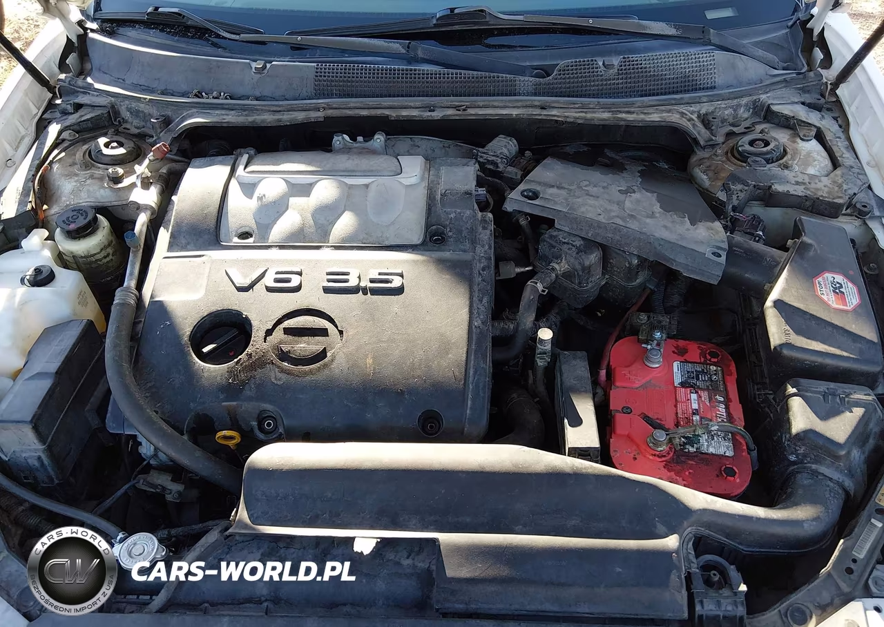2004 Nissan Maxima 3.5 Sl VIN:1N4BA41E94C914412 - 10