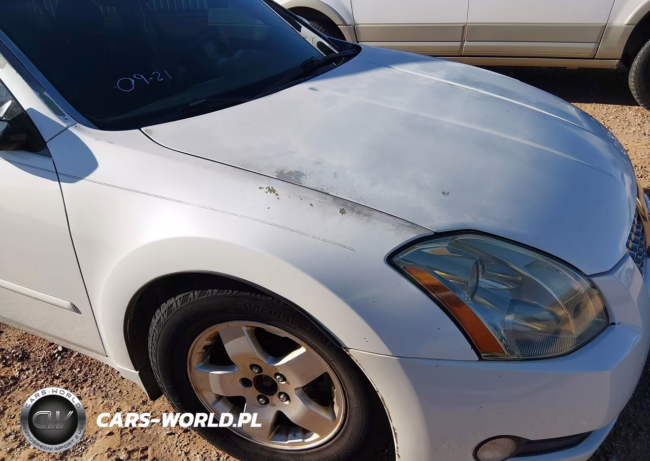 2004 Nissan Maxima 3.5 Sl VIN:1N4BA41E94C914412 - 6