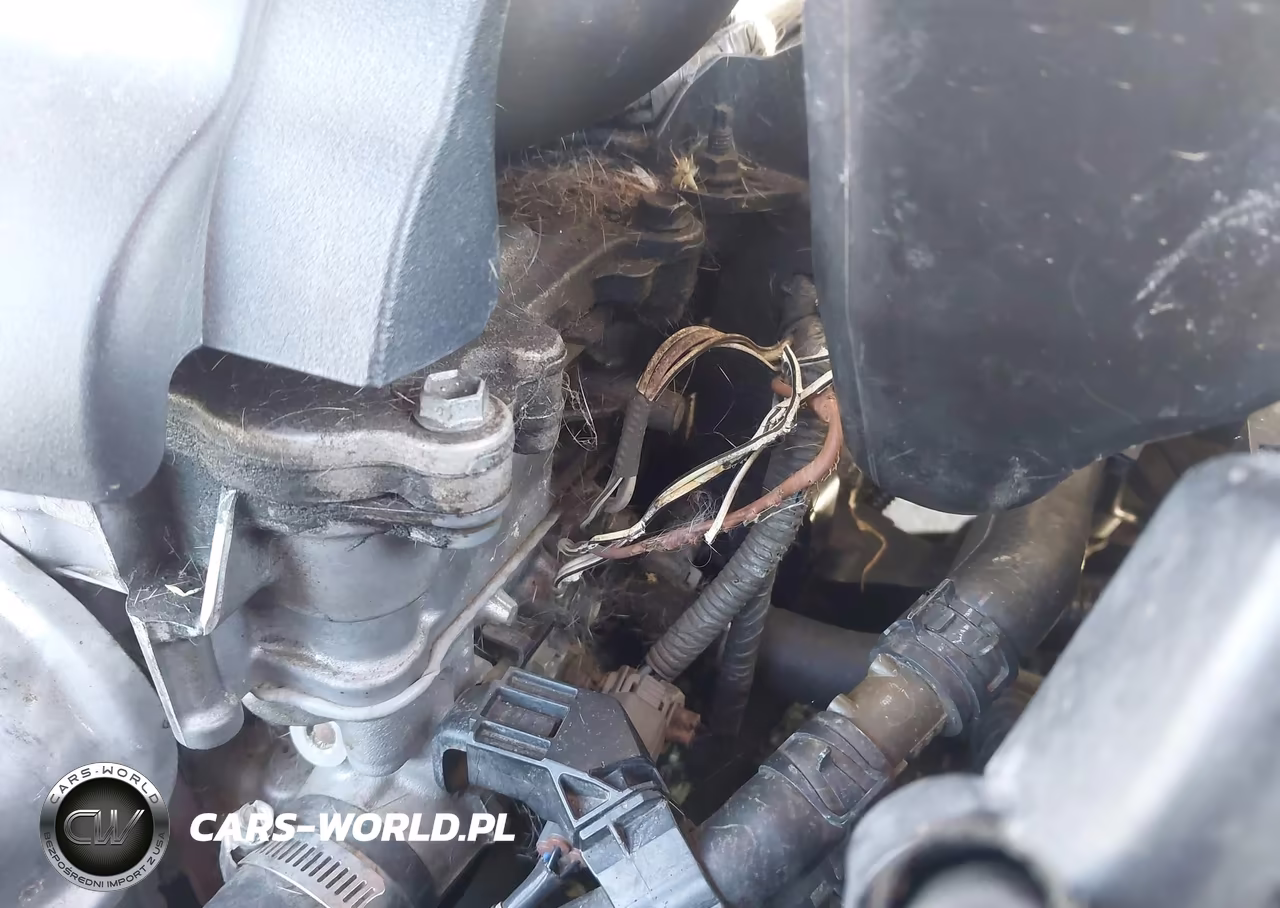 2010 Toyota Rav4 VIN:JTMKF4DV6A5029446 - 12