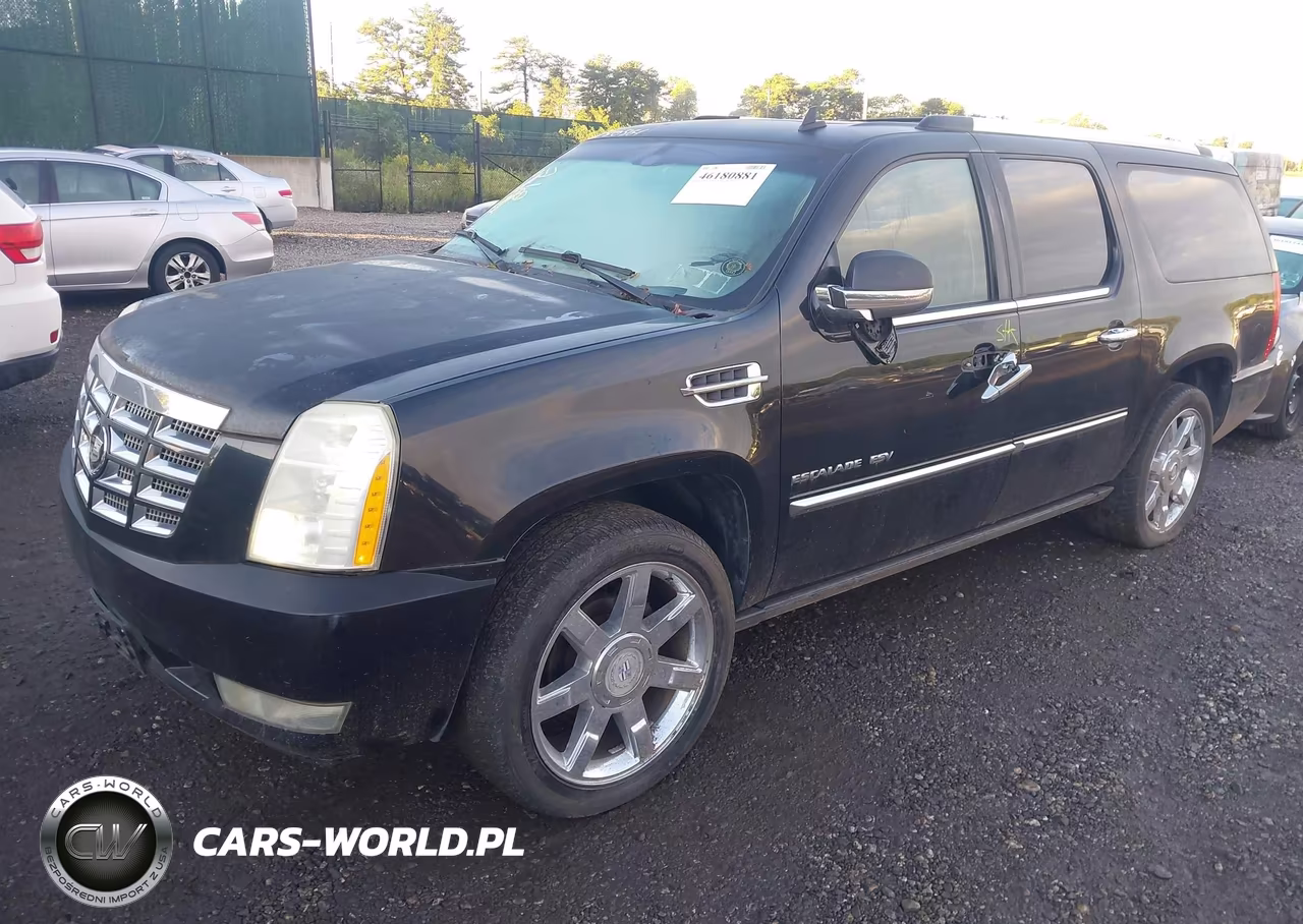 2010 Cadillac Escalade Esv Premium VIN:1GYUCJEFXAR162057 - 2