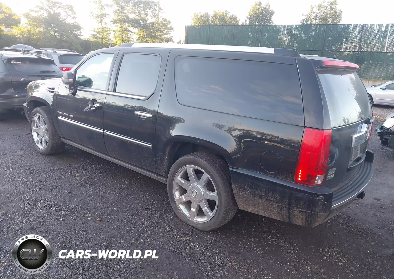 2010 Cadillac Escalade Esv Premium VIN:1GYUCJEFXAR162057 - 3