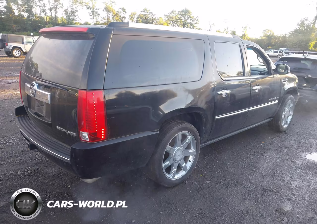 2010 Cadillac Escalade Esv Premium VIN:1GYUCJEFXAR162057 - 4