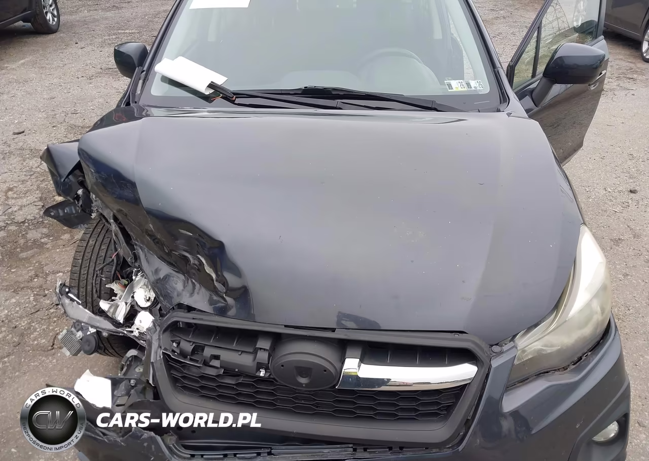 2013 Subaru Impreza 2.0I Premium VIN:JF1GJAC63DH022038 - 10