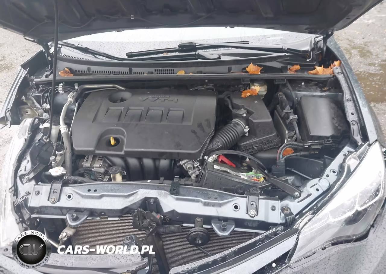 2019 Toyota Corolla Se VIN:2T1BURHE1KC177506 - 10