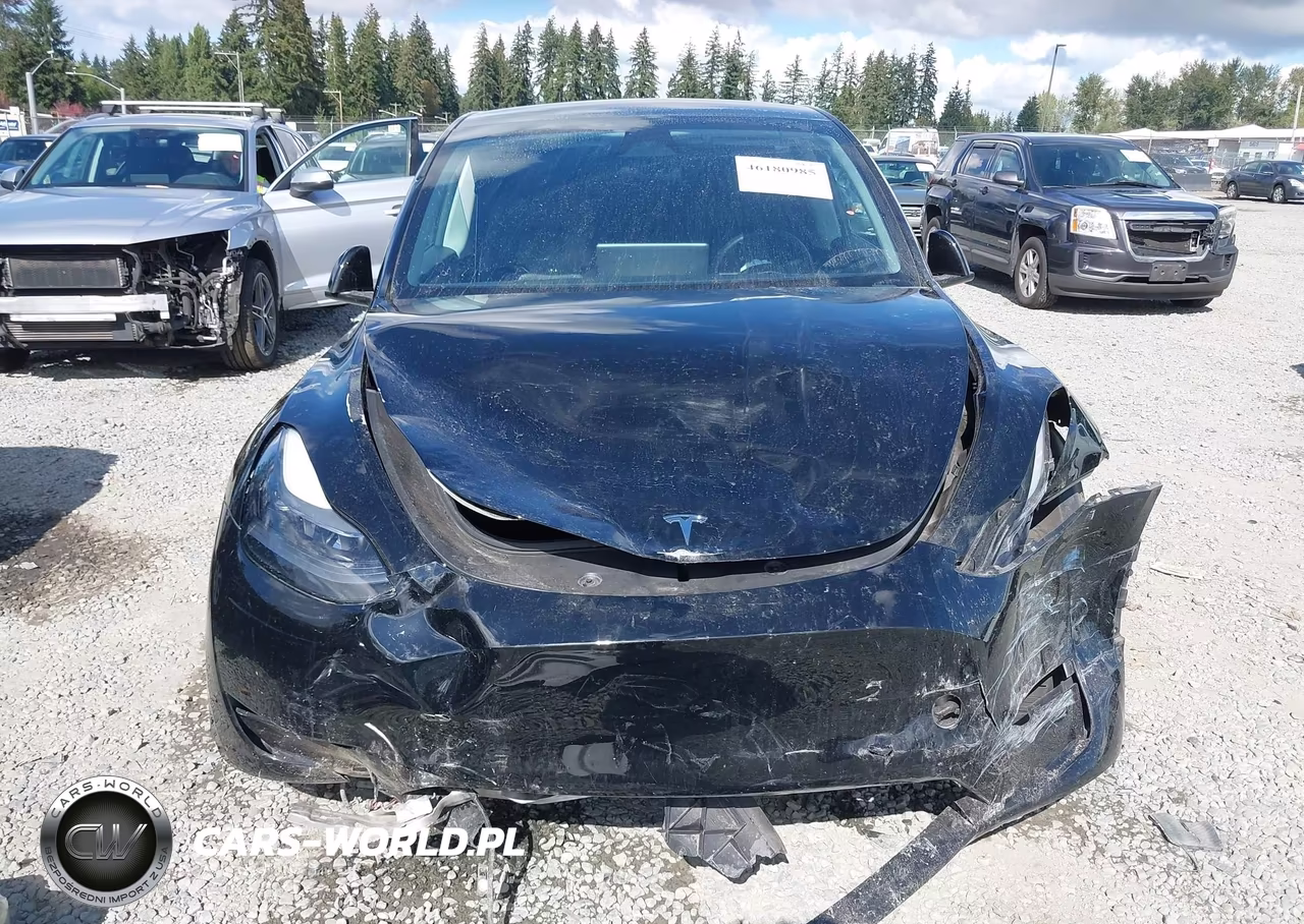 2023 Tesla Model Y Awd-Long Range Dual Motor All-Wheel Drive VIN:7SAYGDEE3PF807069 - 12