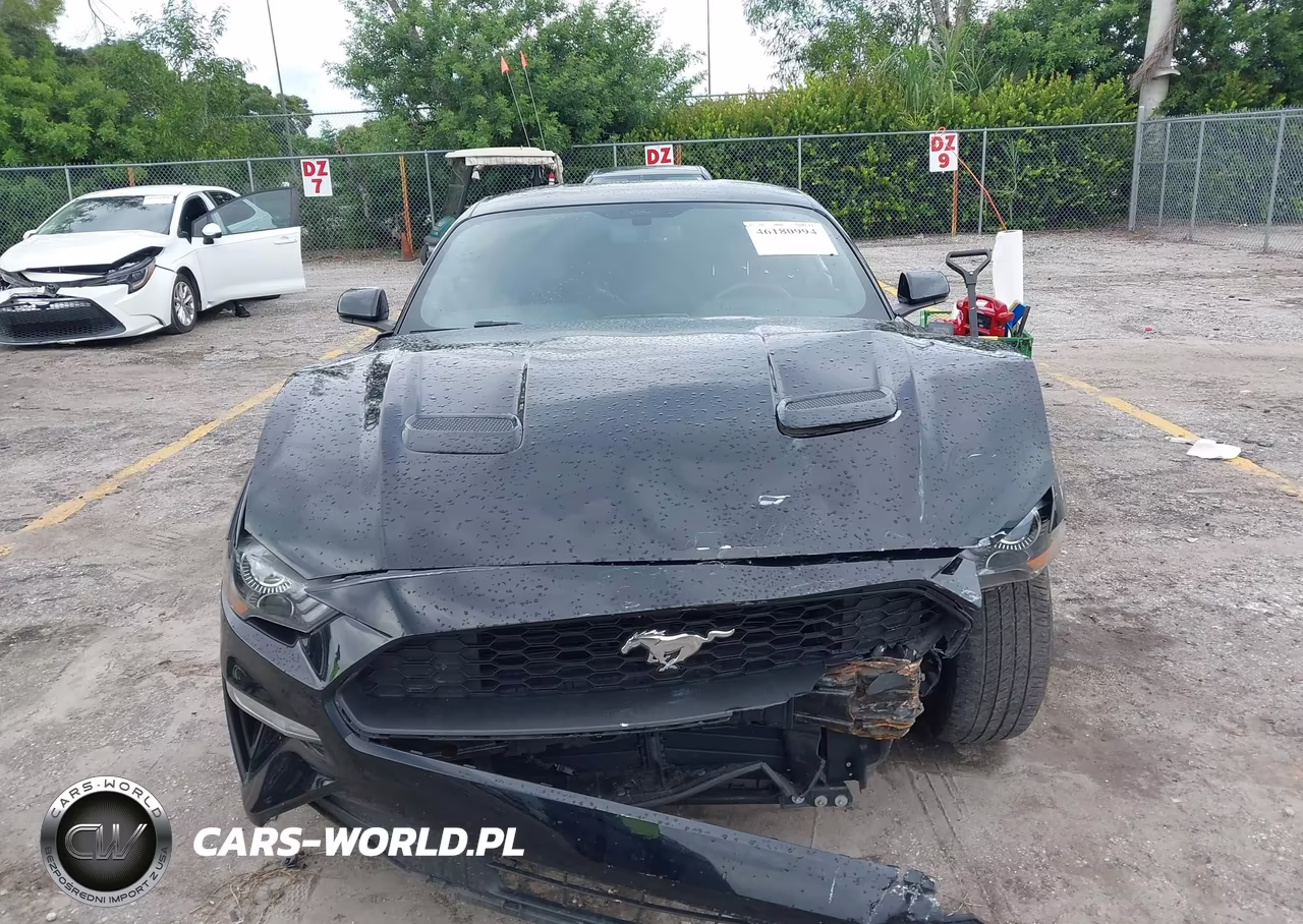 2020 Ford Mustang Ecoboost Fastback VIN:1FA6P8THXL5183927 - 13