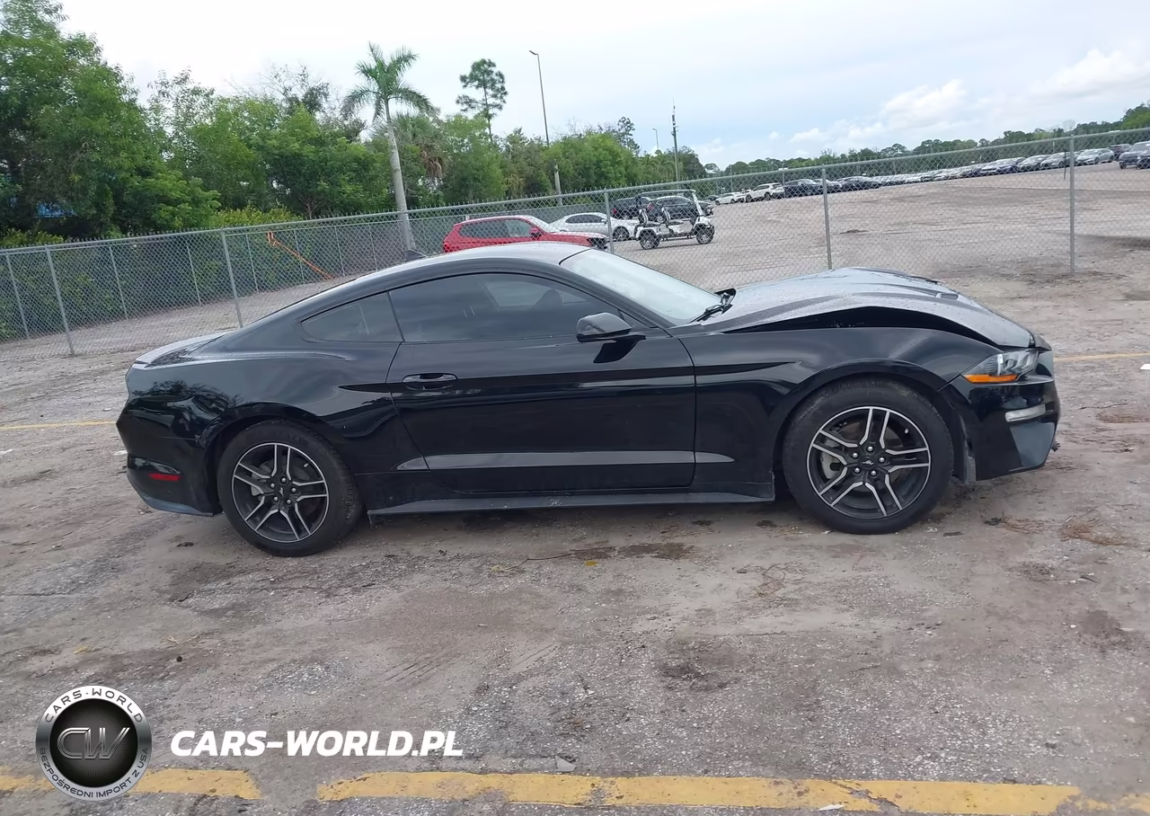 2020 Ford Mustang Ecoboost Fastback VIN:1FA6P8THXL5183927 - 14