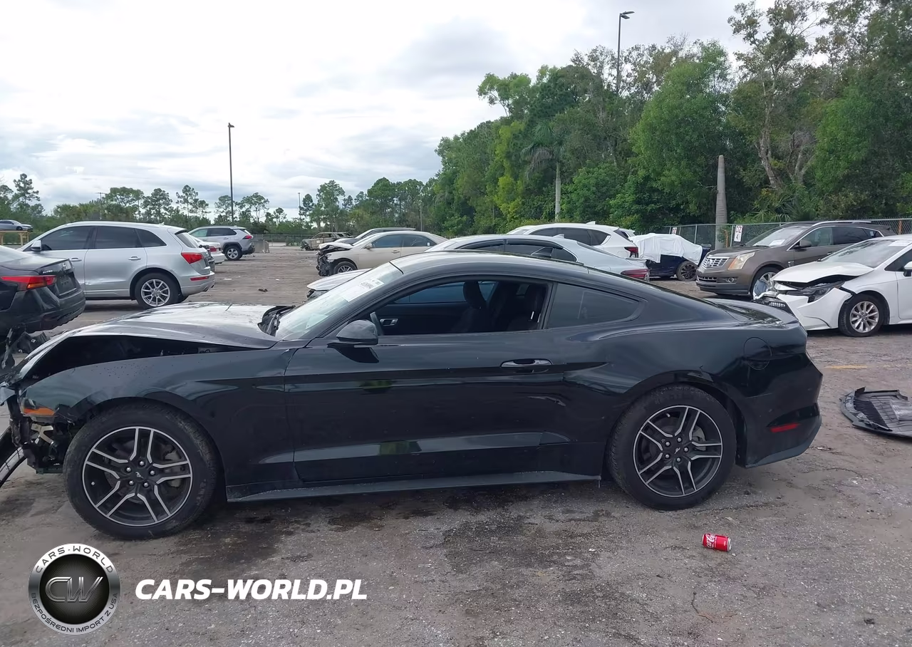 2020 Ford Mustang Ecoboost Fastback VIN:1FA6P8THXL5183927 - 15