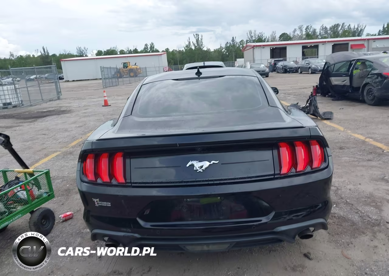 2020 Ford Mustang Ecoboost Fastback VIN:1FA6P8THXL5183927 - 17