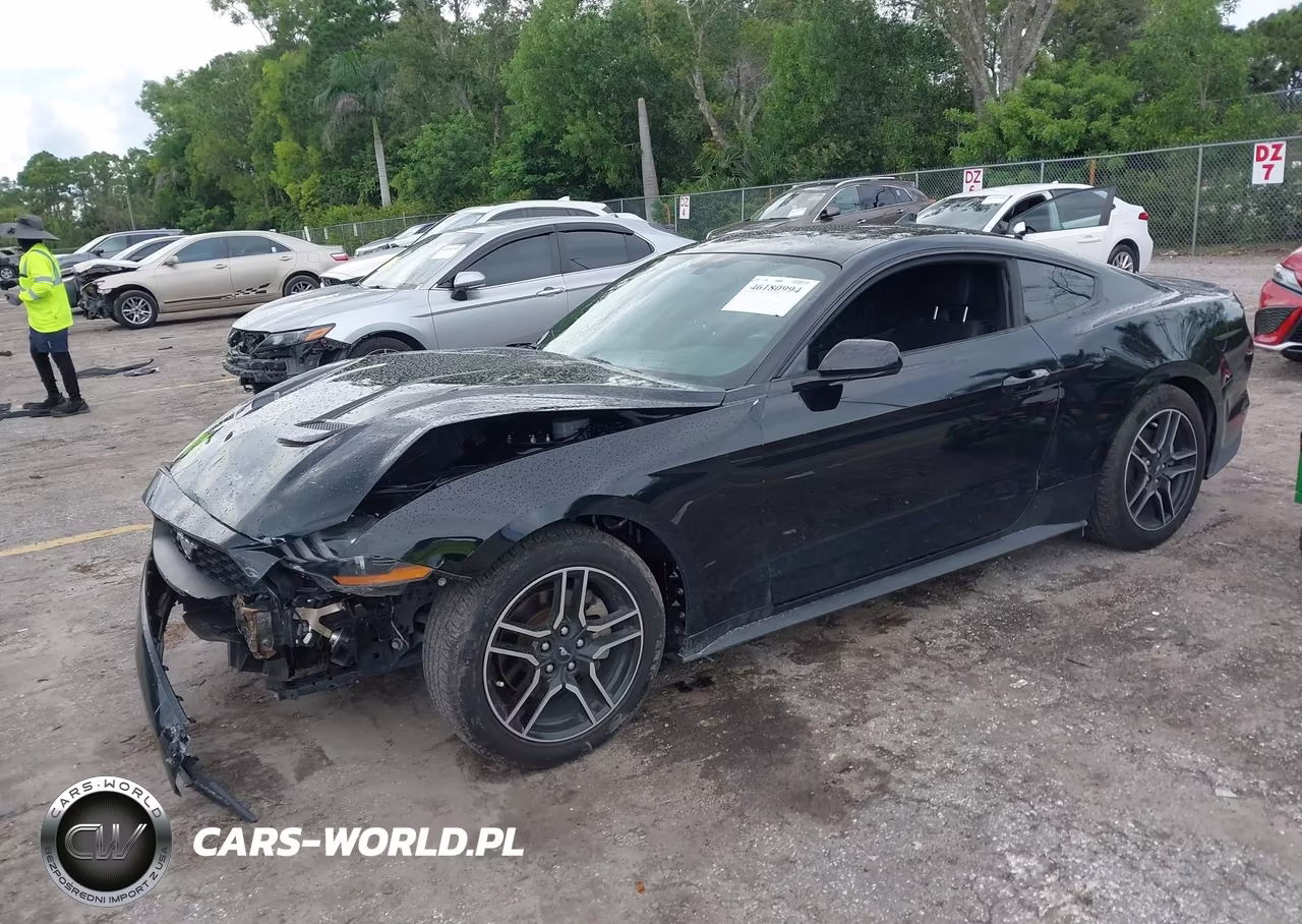 2020 Ford Mustang Ecoboost Fastback VIN:1FA6P8THXL5183927 - 2