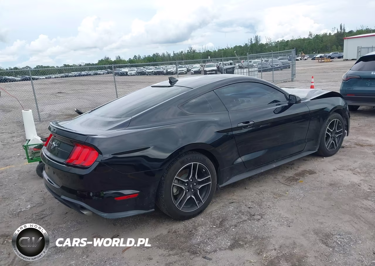 2020 Ford Mustang Ecoboost Fastback VIN:1FA6P8THXL5183927 - 4